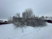 Аукцион по продаже нежилого помещения площадью 185,7 кв. м, расположенного по адресу: Московская обл., р-н. Коломенский, с. Горки, д. 4а, пом. 2,3,4.