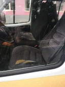 Транспортное средство ЛУИДОР-2250D0 специализированное ТС для перевозки инвалидов,  2013 года изготовления, идентификационный номер  (VIN) Z7C2250D0D0003718