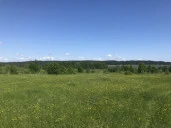 Земельный участок с/х назначения - 29 973 +/- 61 кв. м, адрес: местоположение установлено относительно ориентира, расположенного за пределами участка, почтовый адрес ориентира: Пермский край, Ильинский р-н, Филатовское с. п. ур. «За Решетниками»