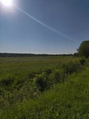 Земельный участок 24 Га в Дмитровском районе, Московская область