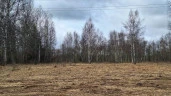 Земельный участок - 154 951 +/- 3 444 кв. м, земельный участок - 16 007 кв. м, адрес: Тверская обл., Зубцовский р-н, с/пос Зубцовское, вблизи д. Давыдково, д. Гармоново
