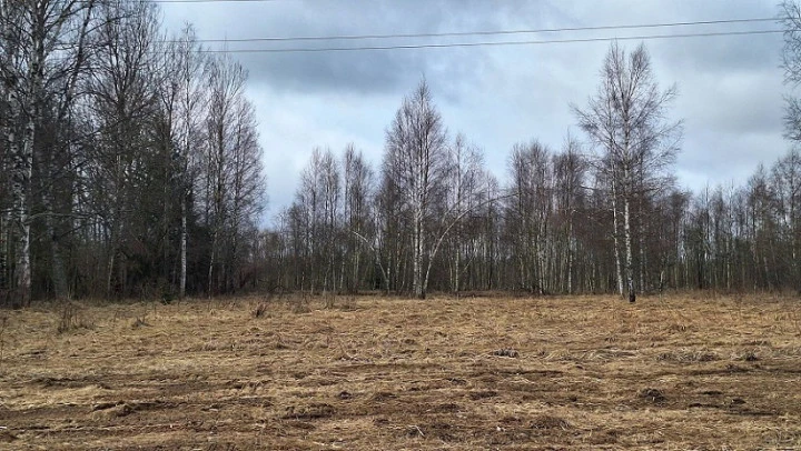 Земельный участок - 154 951 +/- 3 444 кв. м, земельный участок - 16 007 кв. м, адрес: Тверская обл., Зубцовский р-н, с/пос Зубцовское, вблизи д. Давыдково, д. Гармоново